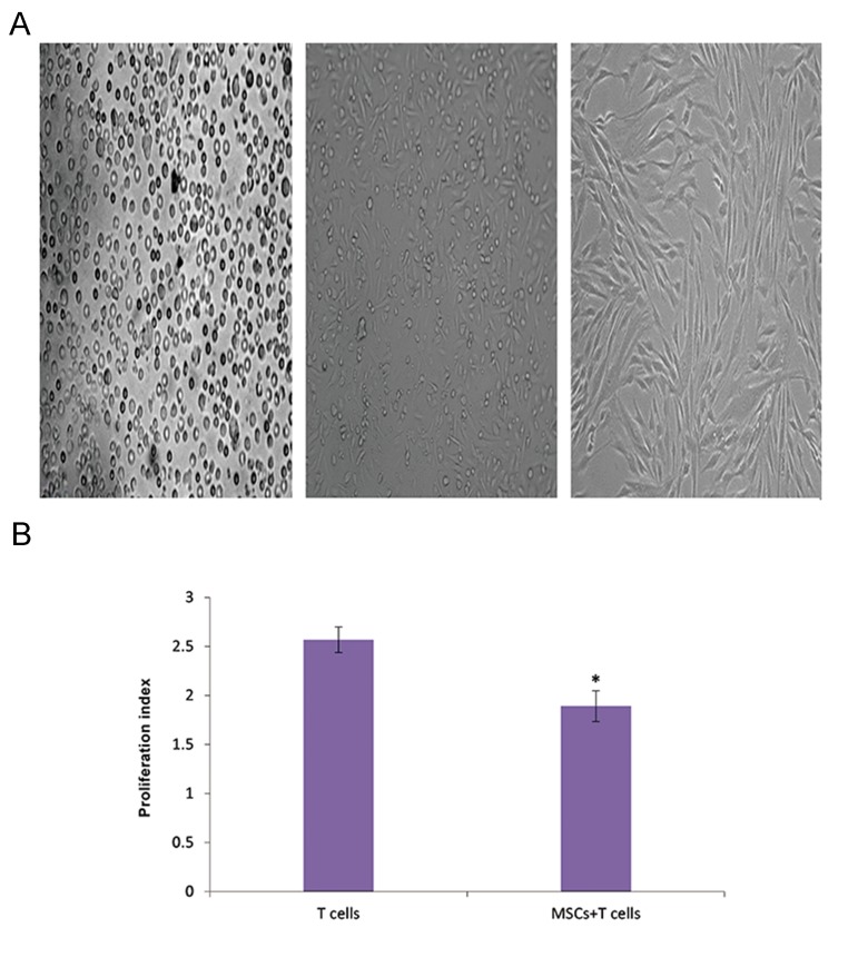 Fig.1