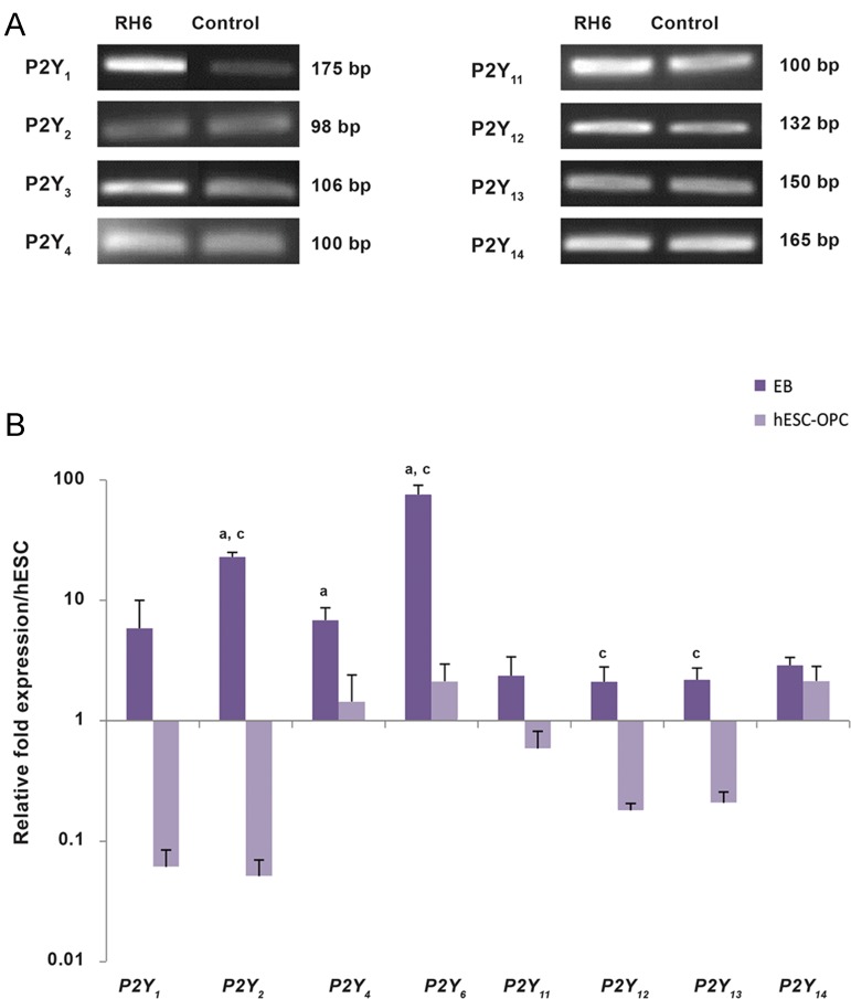 Fig.4