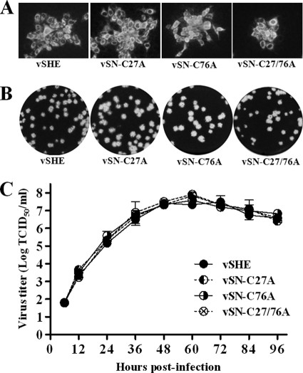 Fig 4