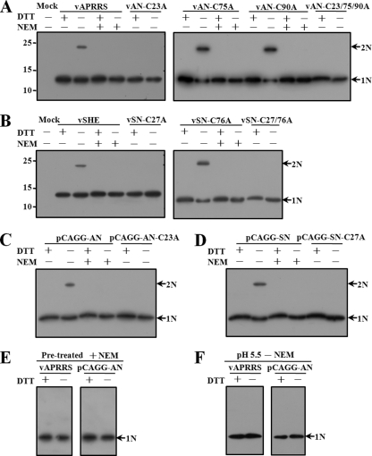 Fig 5