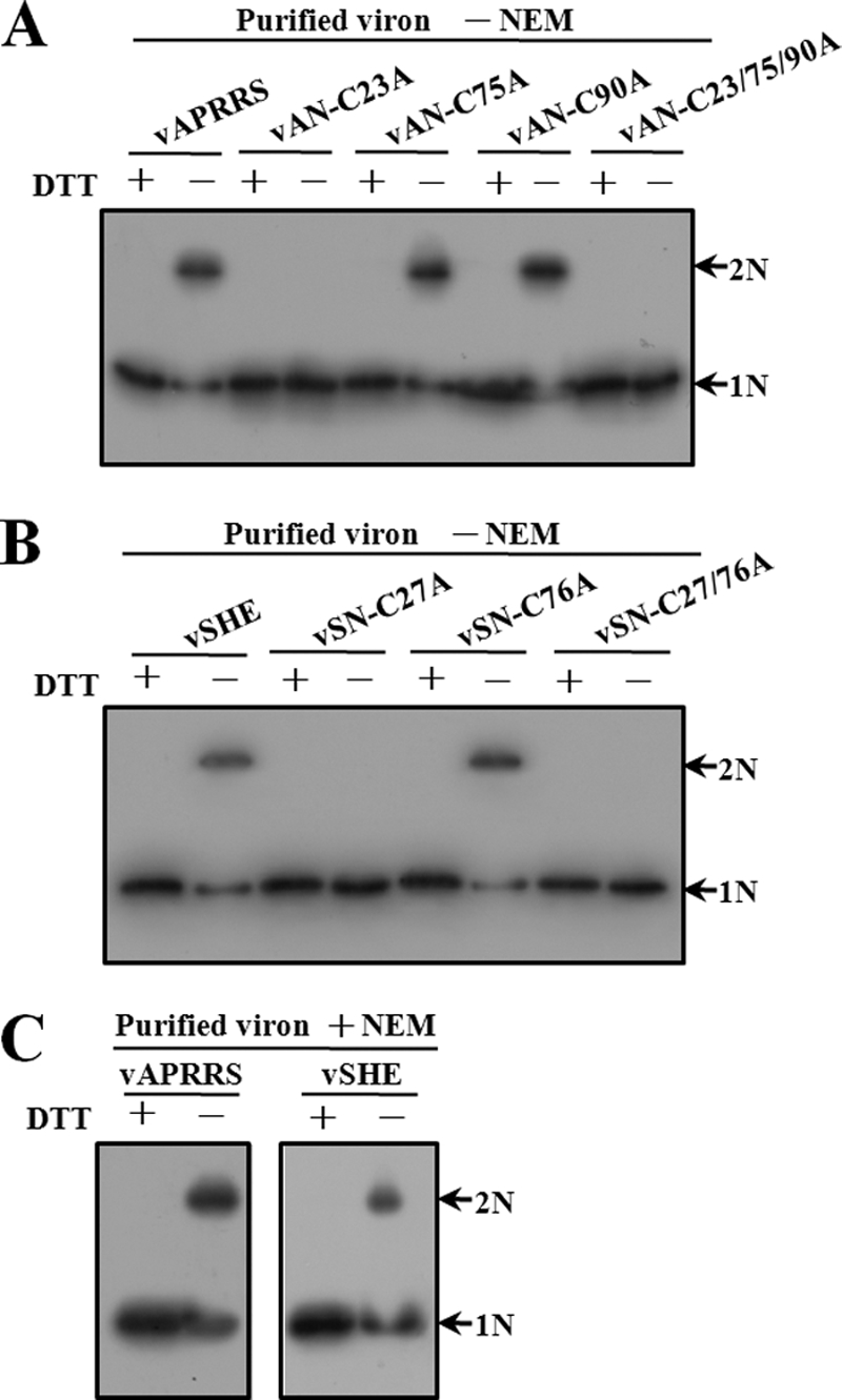 Fig 6