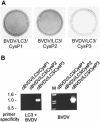 FIG. 7.