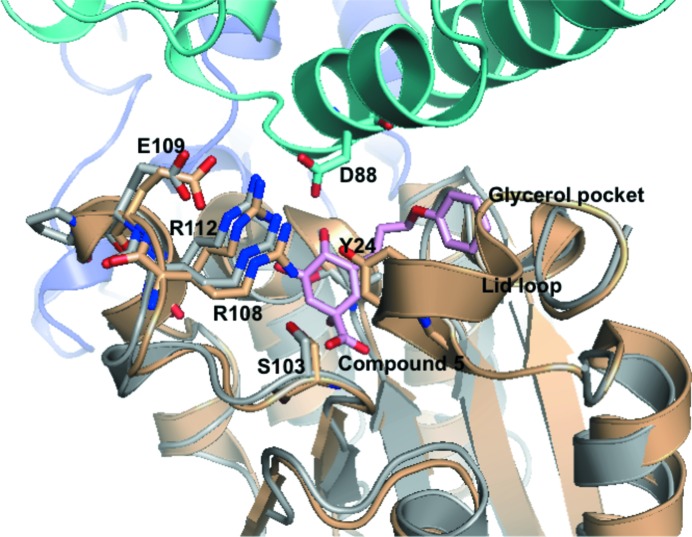 Figure 5