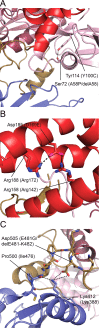 Fig 6