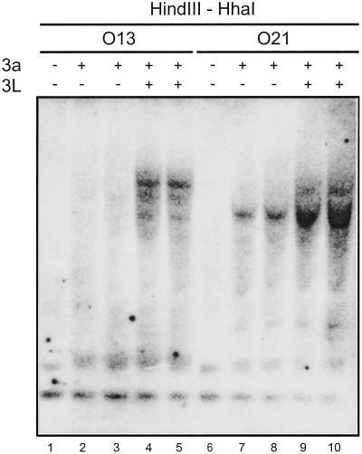 Fig 5.