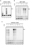 Fig 2.