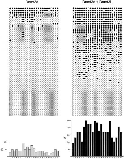 Fig 3.