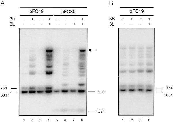 Fig 1.