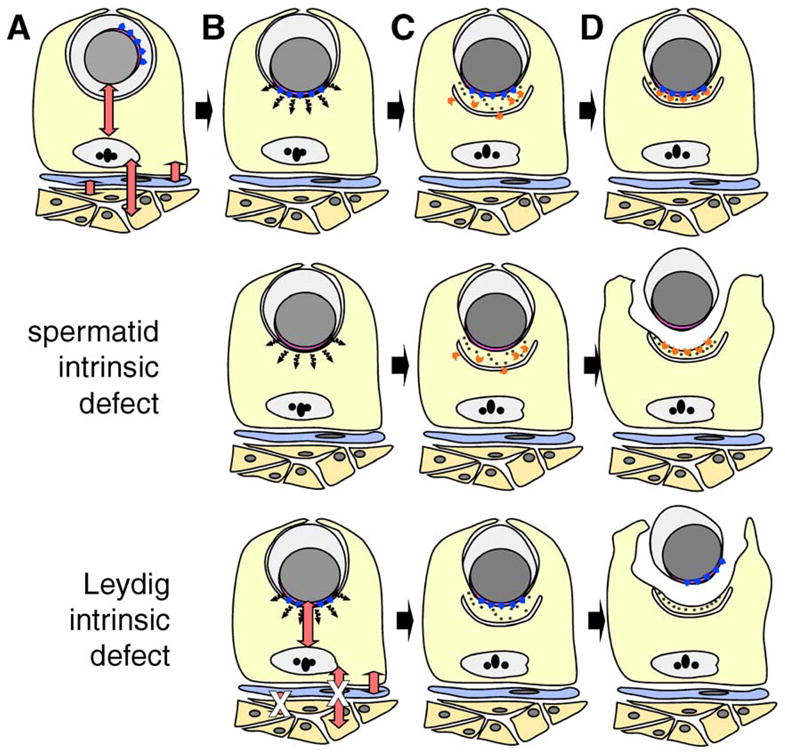 Fig. 9