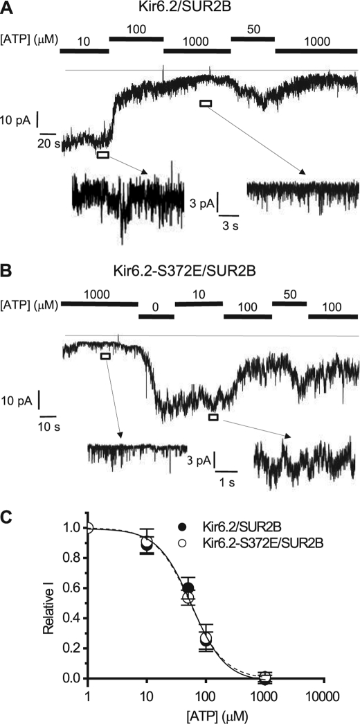 FIGURE 9.