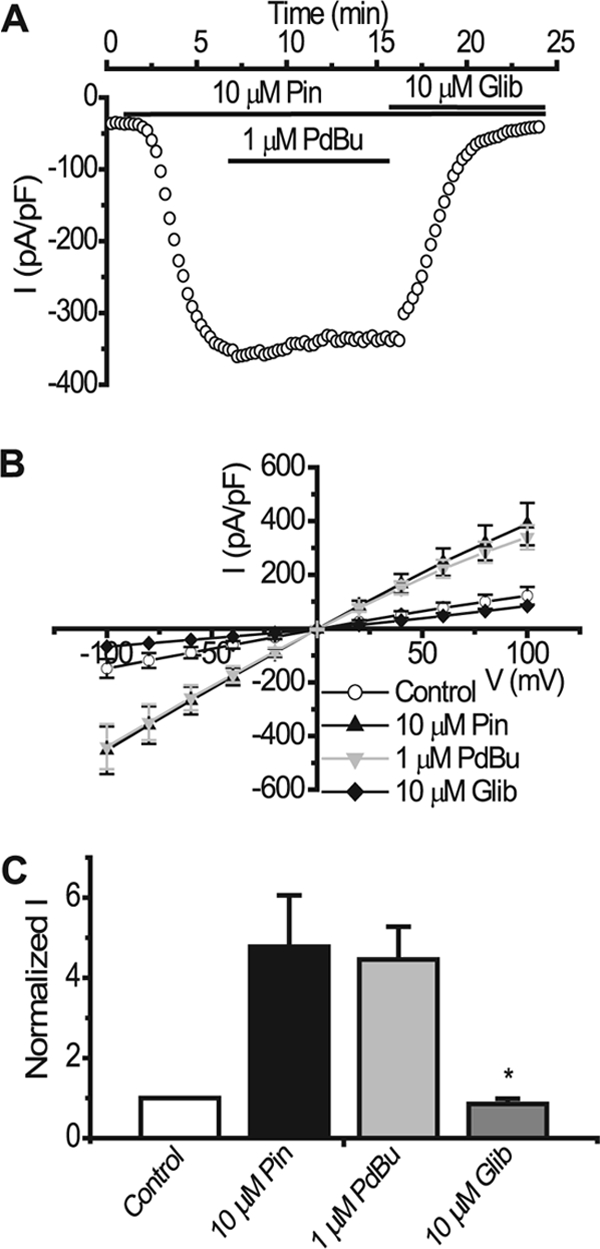 FIGURE 4.