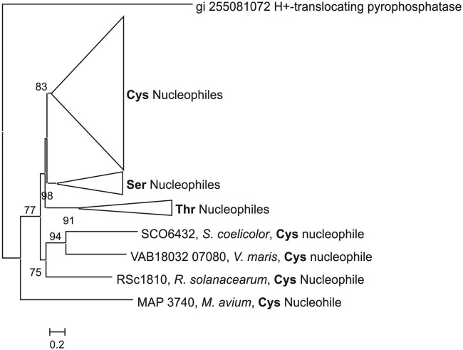 Figure 3.