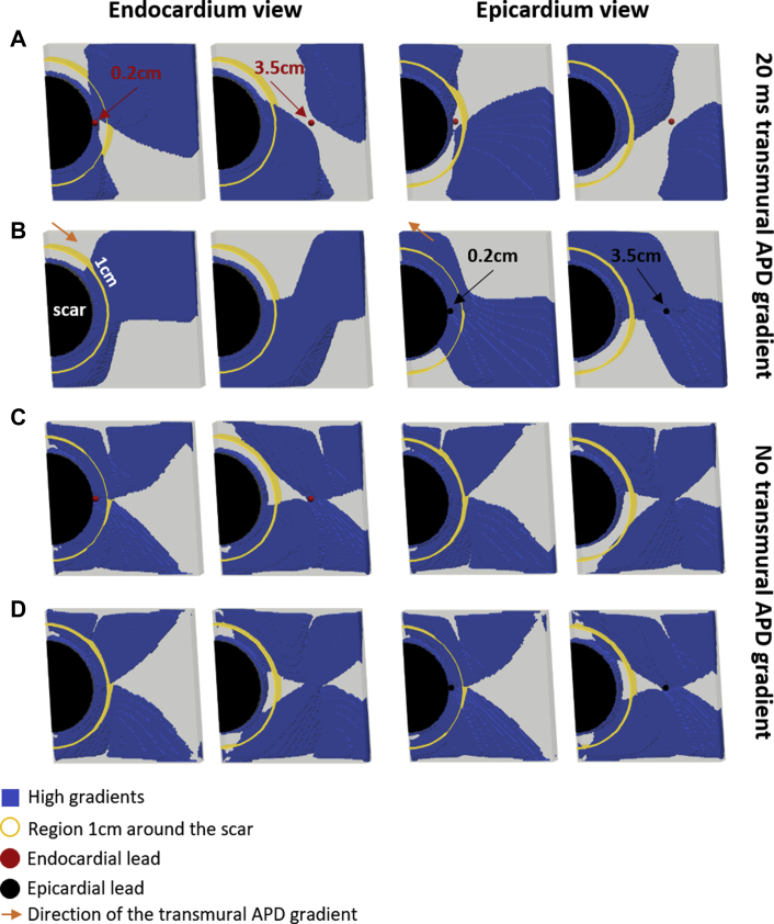 Figure 6