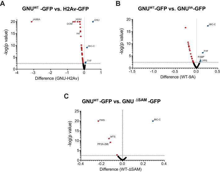 Figure 1—figure supplement 2.