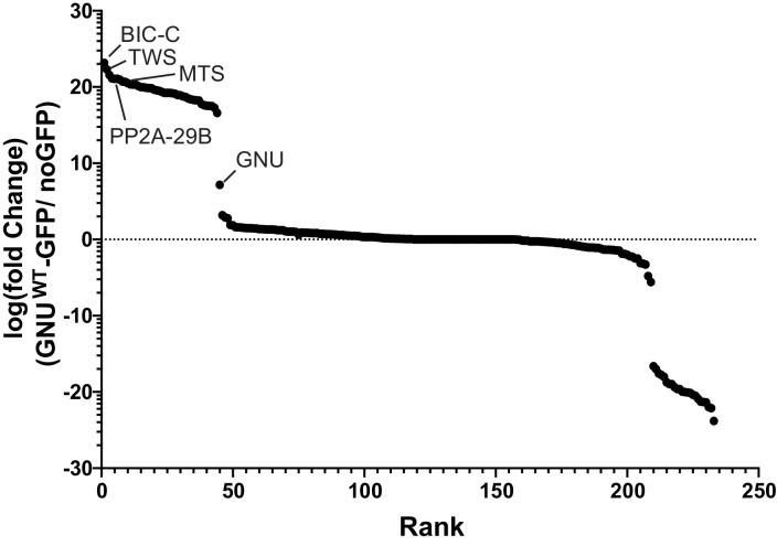 Figure 1—figure supplement 1.