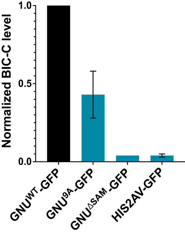 Figure 1—figure supplement 3.