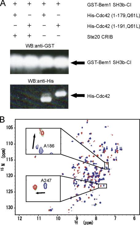 FIGURE 6.