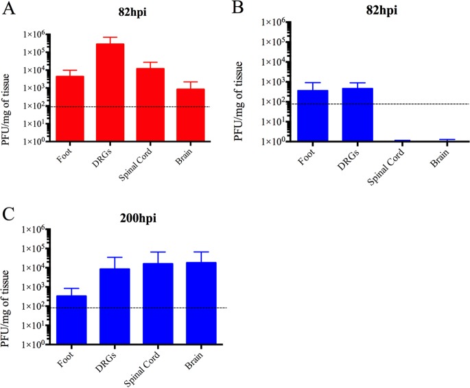 FIG 3