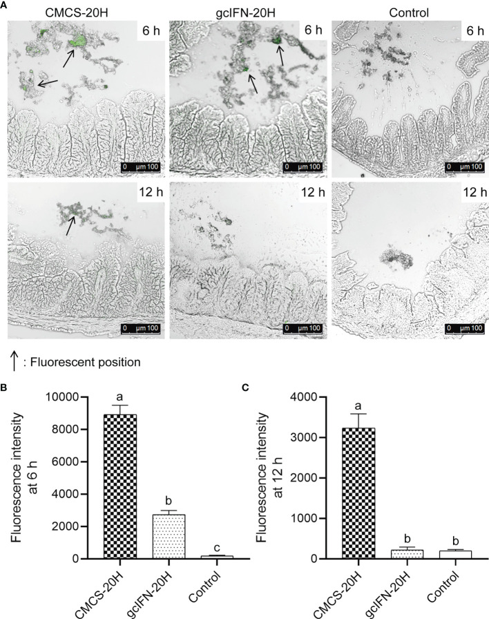 Figure 2