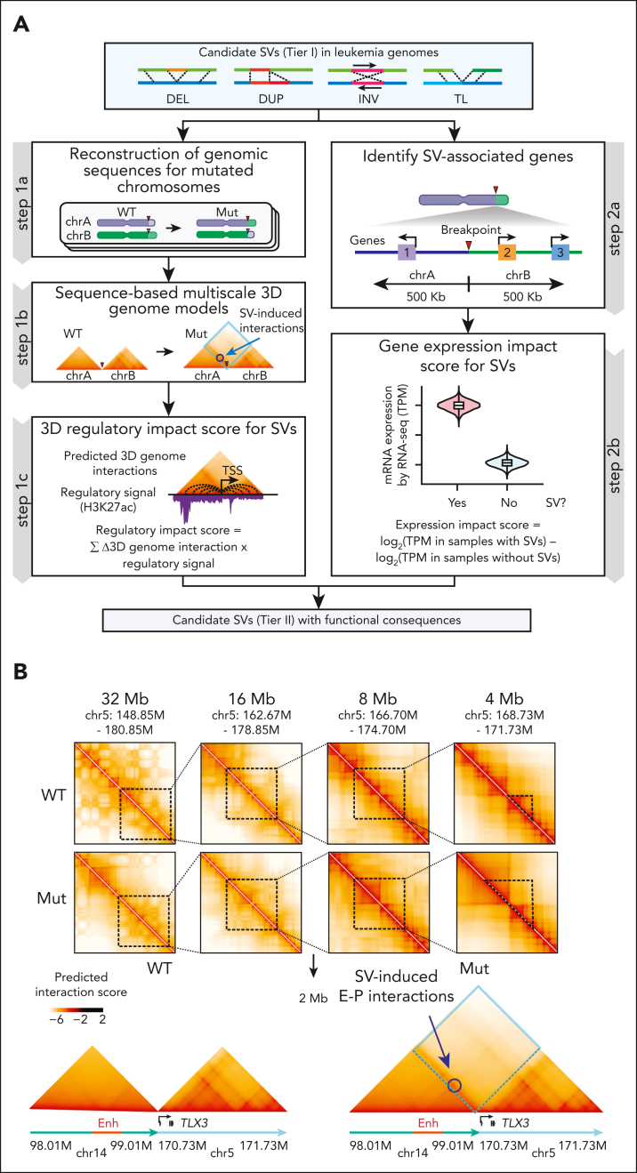 Figure 2.