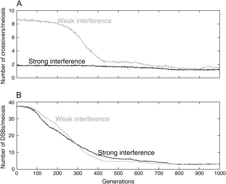 Figure 7.—