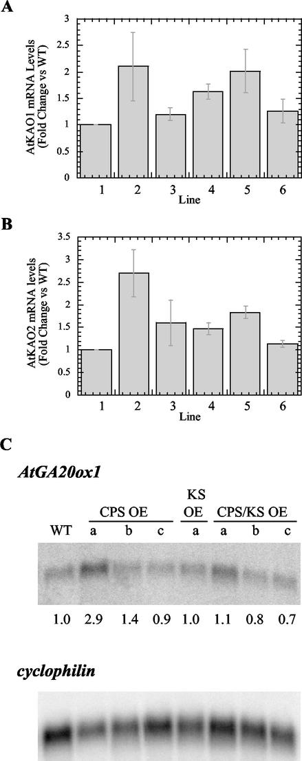 Figure 4.