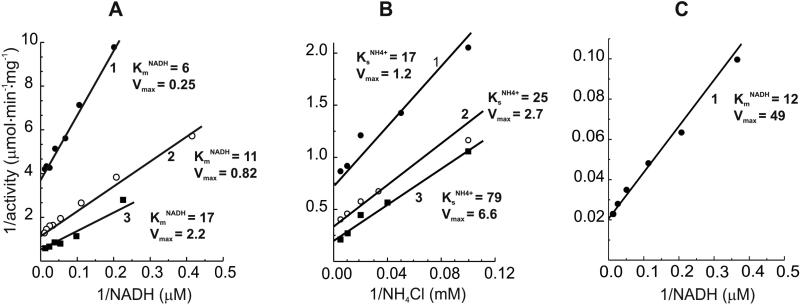 Fig.2