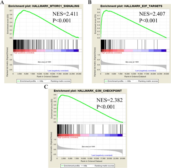 Figure 16