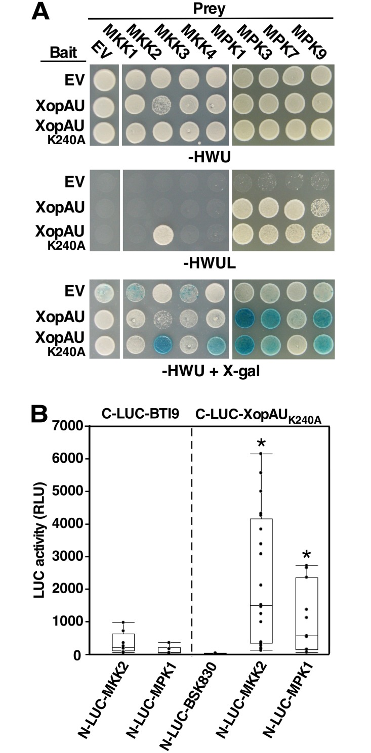 Fig 10