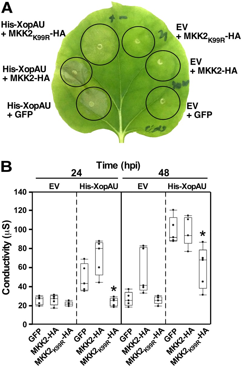 Fig 8