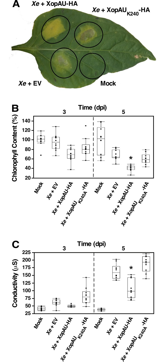 Fig 4