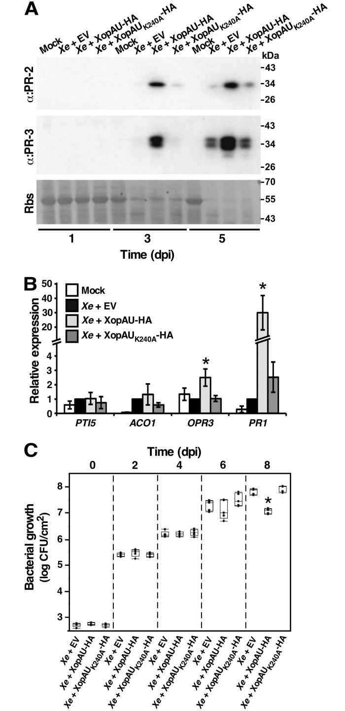 Fig 5