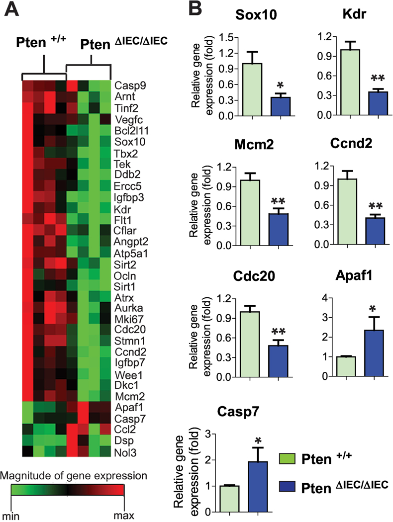 Figure 4: