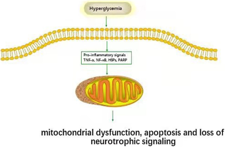 FIGURE2