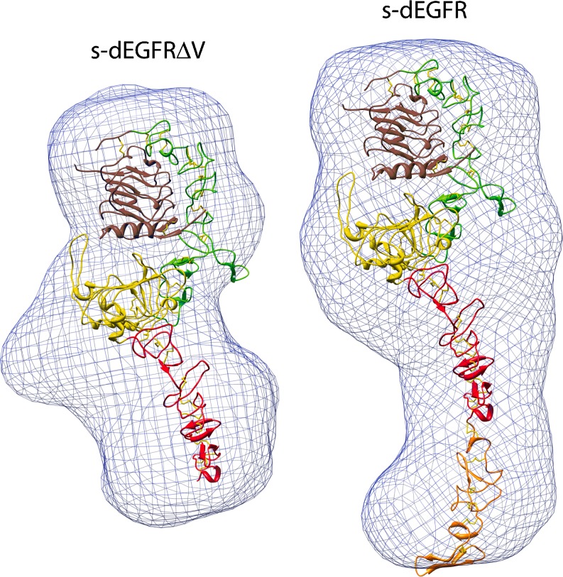 Fig. 4