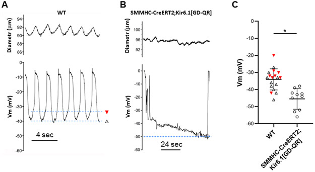 Fig. 10.