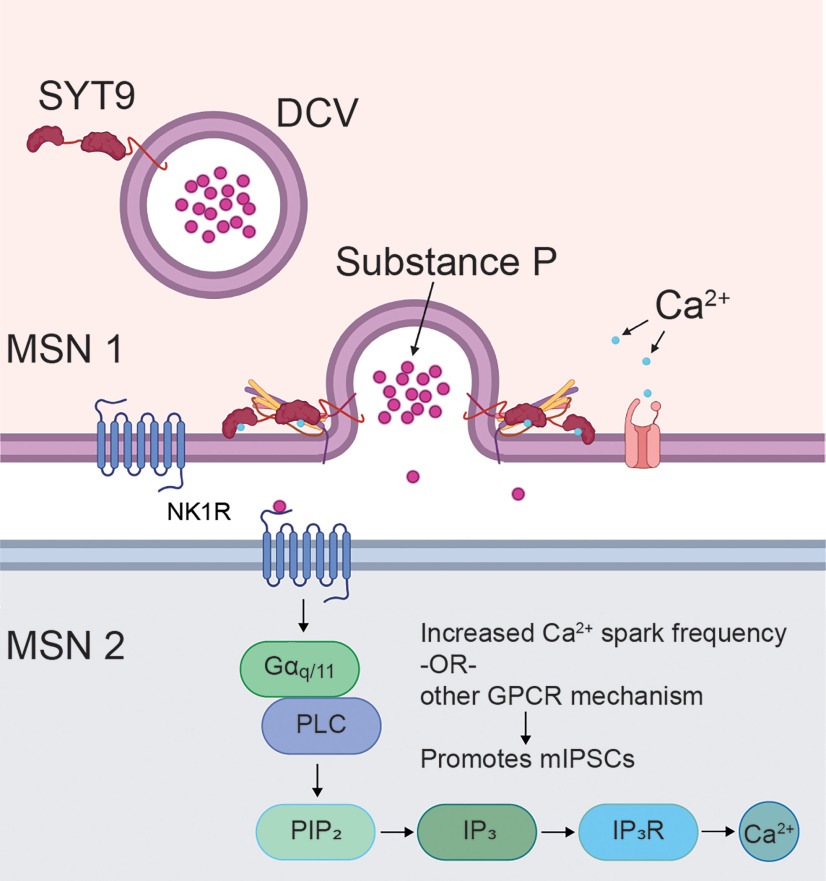 Figure 15.