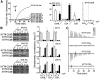 Figure 13.