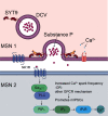 Figure 15.