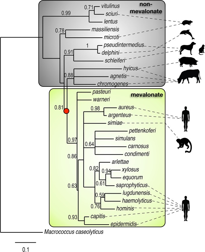 FIG 3 