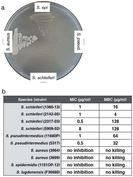 FIG 2 