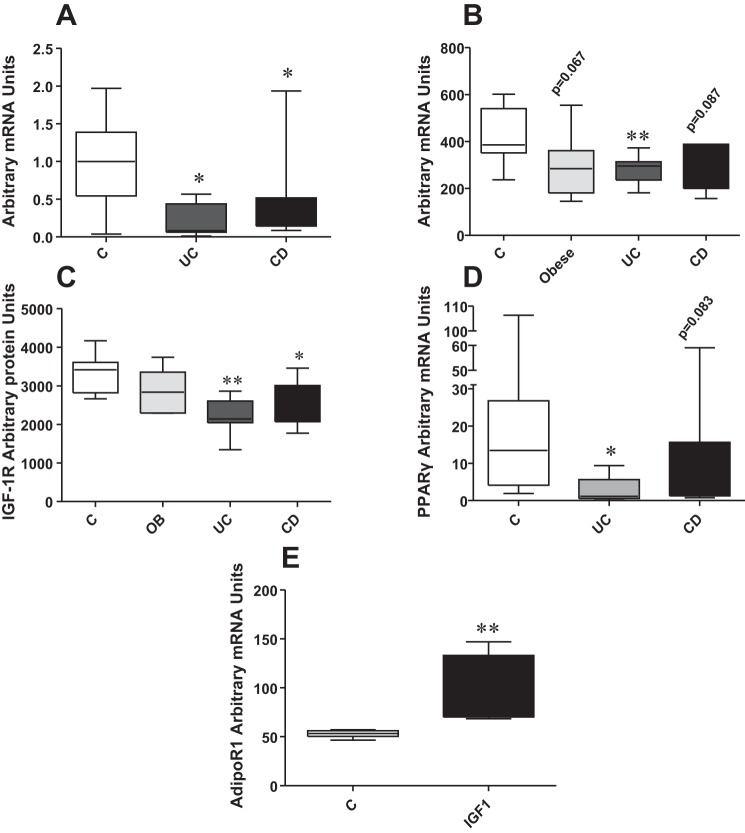 Fig. 10.