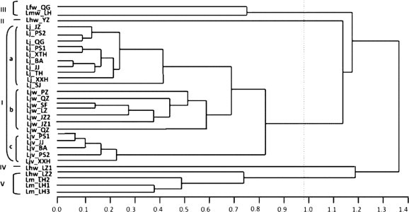 Fig. 2