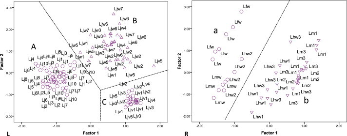 Fig. 3