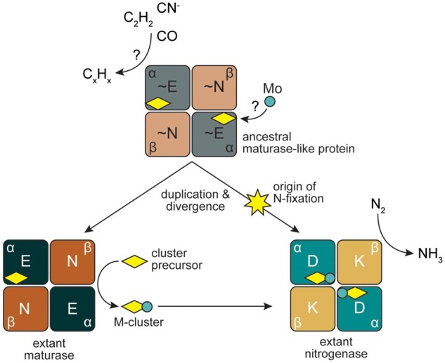 
Fig. 4.