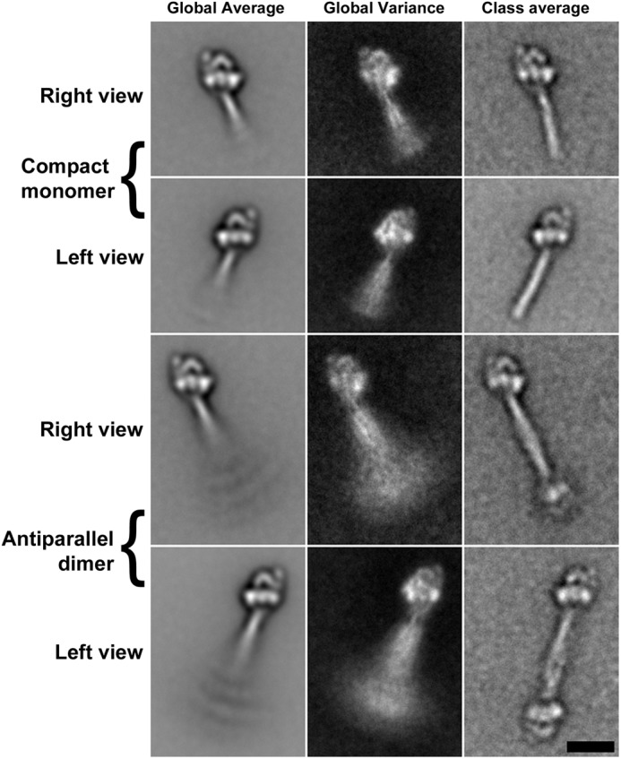 FIGURE 7.