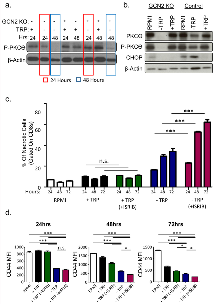 Fig. 6: