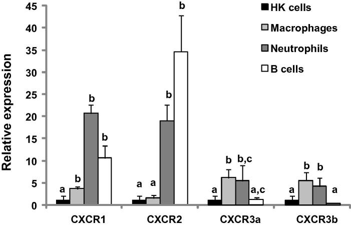 Fig. 10