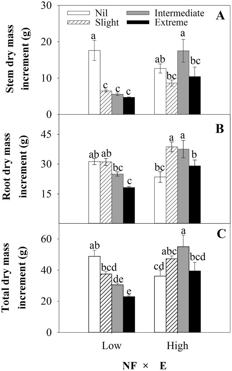 Fig 6