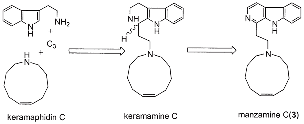 Scheme 2.